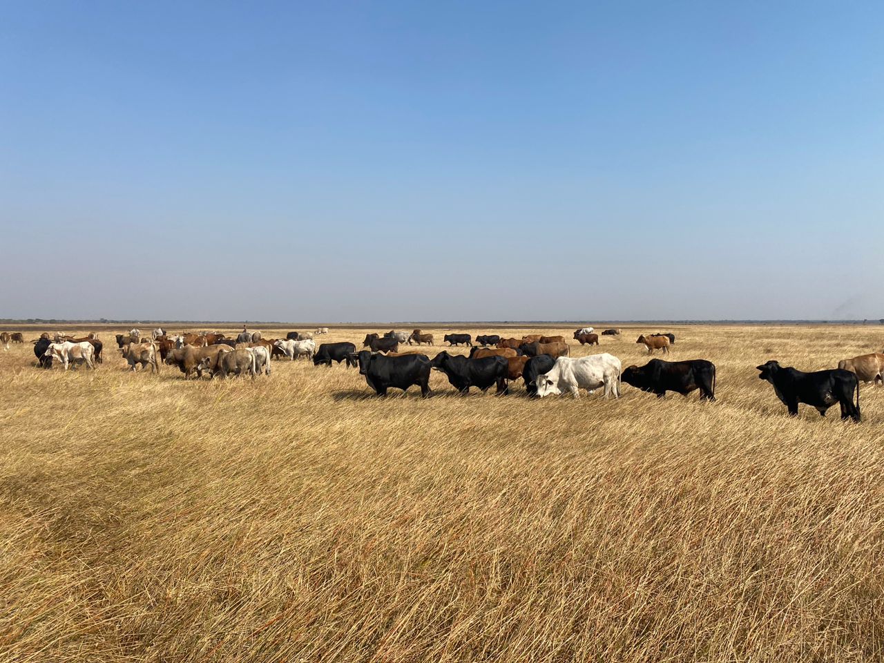 Community rangeland restoration