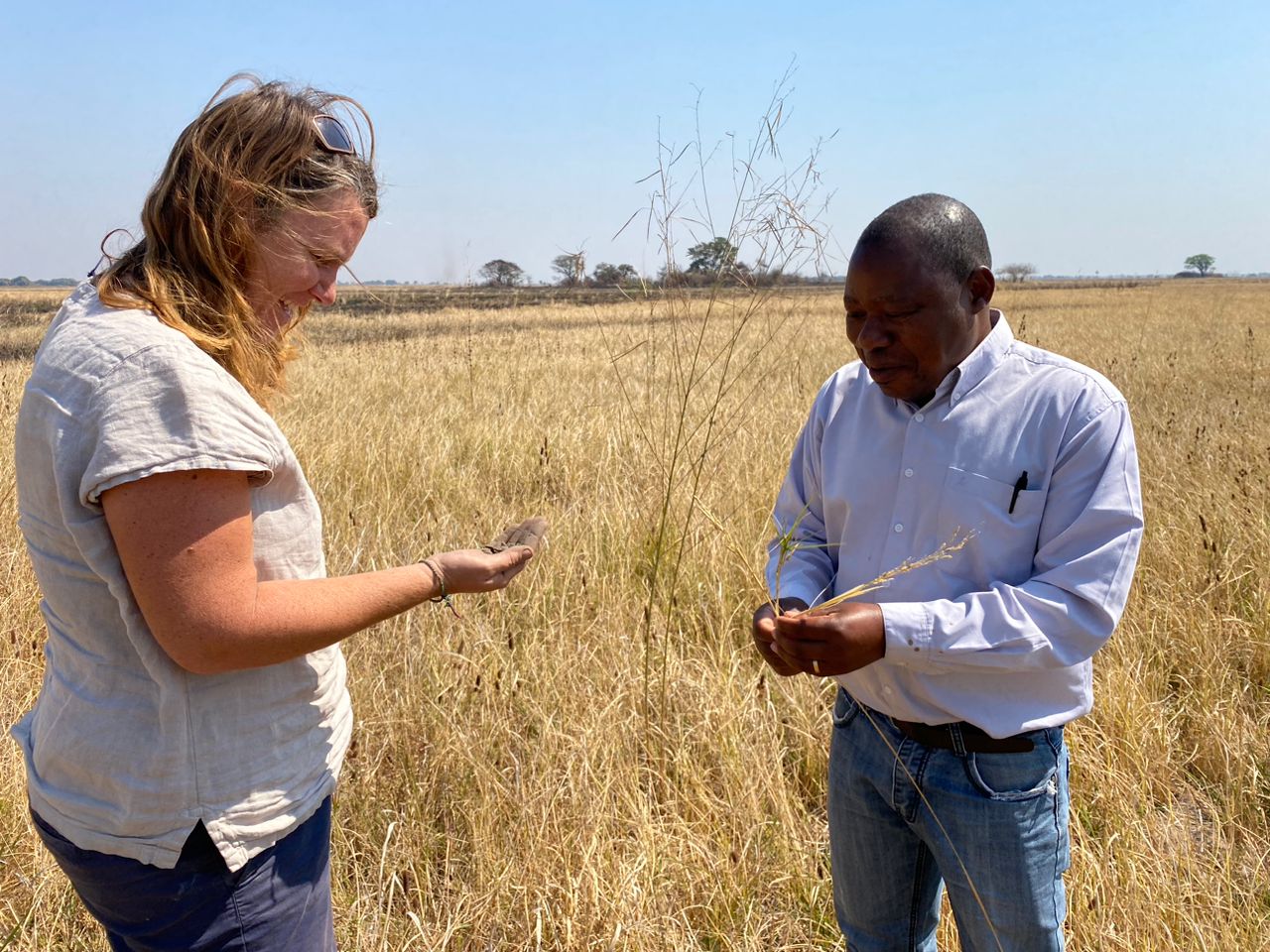 Rangeland management